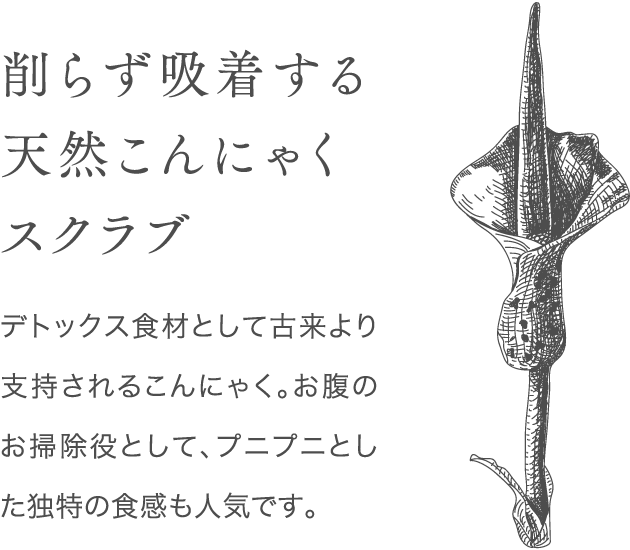 削らず吸着する天然こんにゃくスクラブ