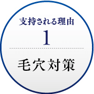 支持される理由1 毛穴対策