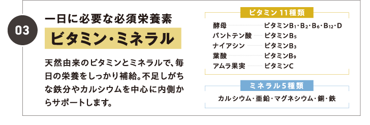 03 一日に必要な必須栄養素　ビタミン・ミネラル