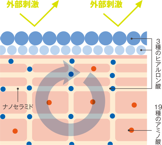 天然ナノセラミドやEGF様成分を配合した化粧品・モイストゲル